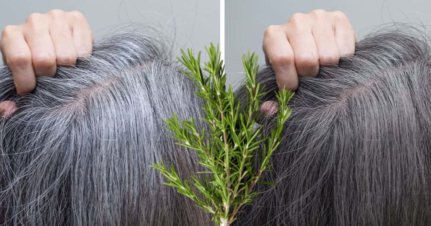 Único ingrediente e resultado em minutos: misturinha natural ajuda a disfarçar cabelos grisalhos (Foto Reprodução/Montagem/TV Foco/Canva/Paola)