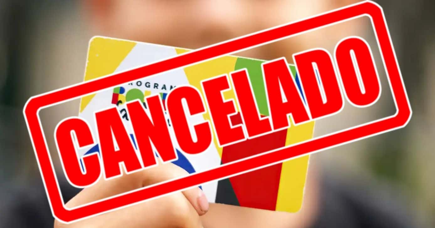 Tchau, R$ 600: Comunicado oficial da Caixa alerta sobre 2 motivos que levam ao cancelamento do Bolsa Família (Foto Reprodução/Montagem/TV Foco/Canva/Paola)