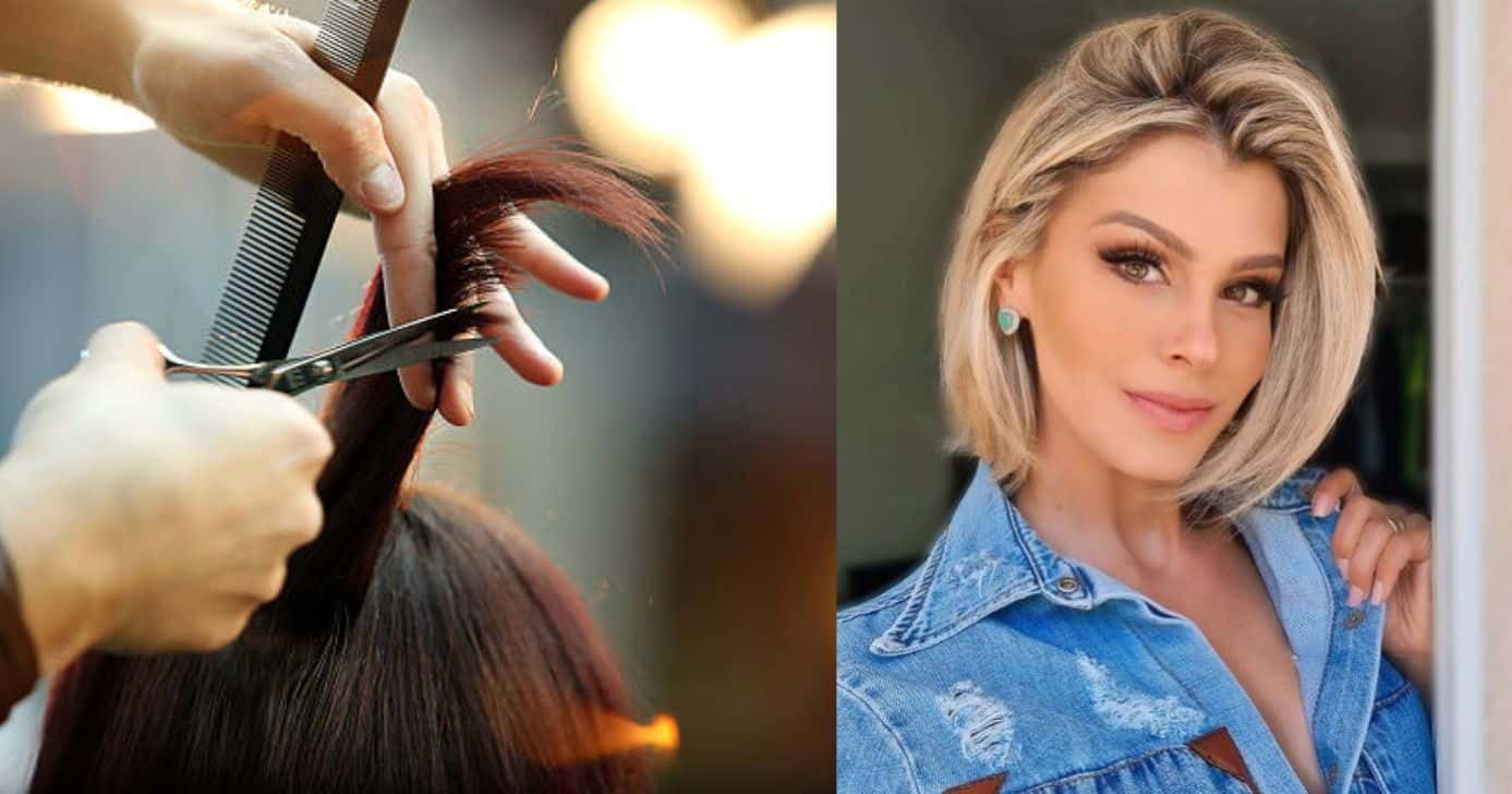 3 cortes de cabelo impecáveis (Foto Reprodução/Montagem/TV Foco/Canva/Paola)