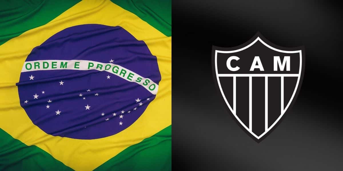 Foto - Montagem TV Foco
