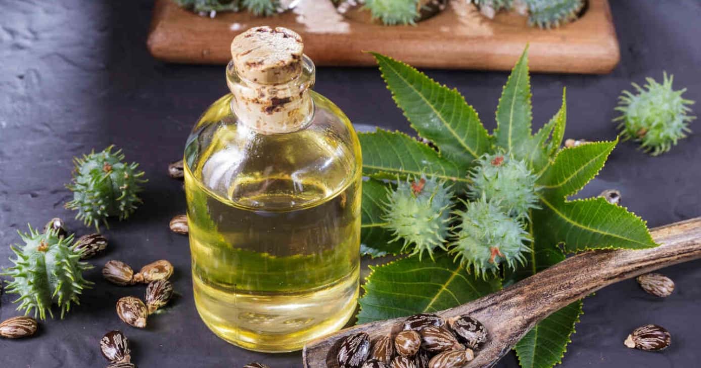 Óleo natural auxilia no ressecamento e pontas duplas (Foto: Divulgação)