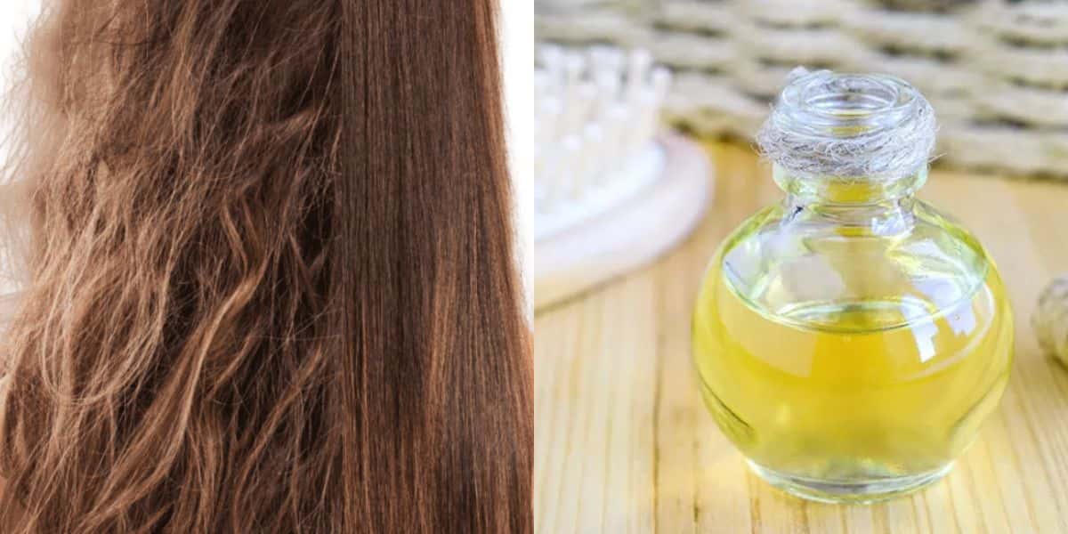 Acabe com o frizz com 3 óleos naturais (Reprodução: Montagem TV Foco)