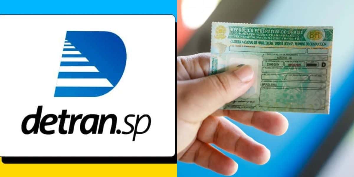 Detran-SP / CNH (Reprodução: Montagem TV Foco)