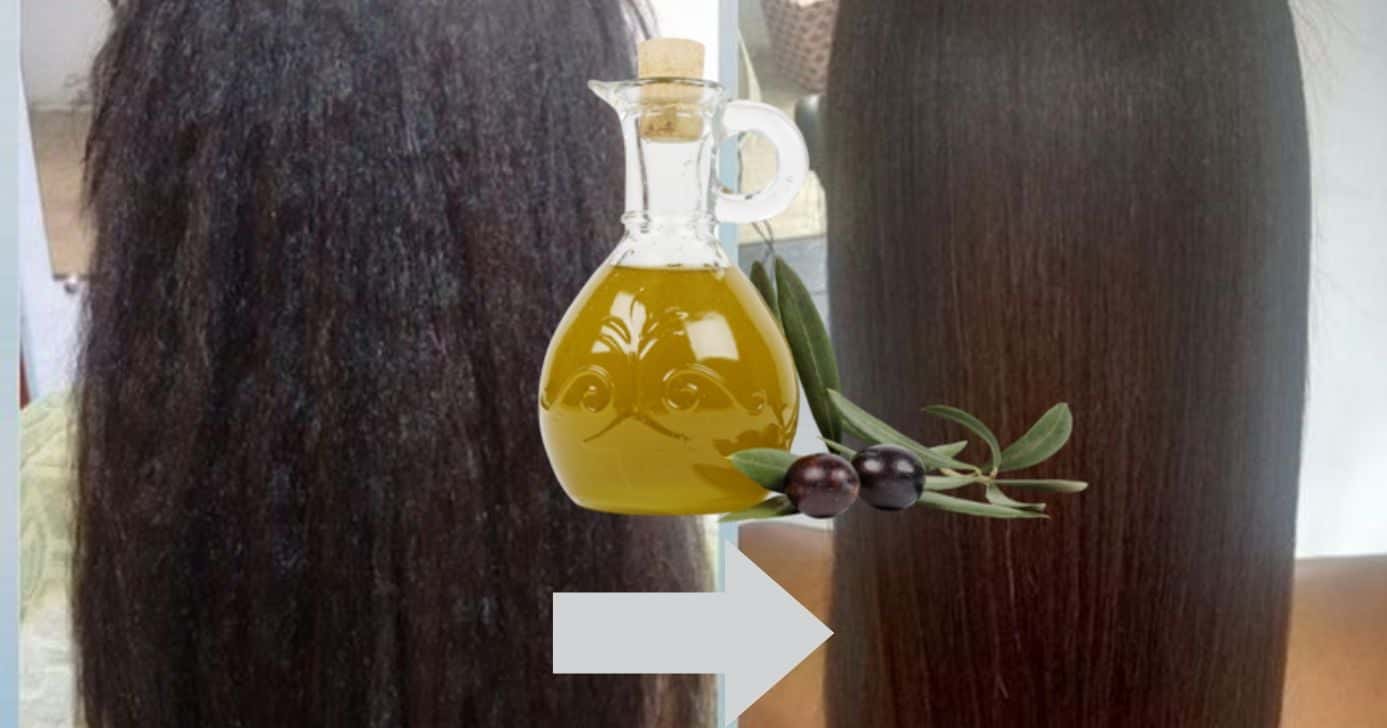 Sem química e sem calor: Óleo natural que alisa o cabelo da raiz às pontas (Foto Reprodução/Montagem/TV Foco/Canva/Paola)