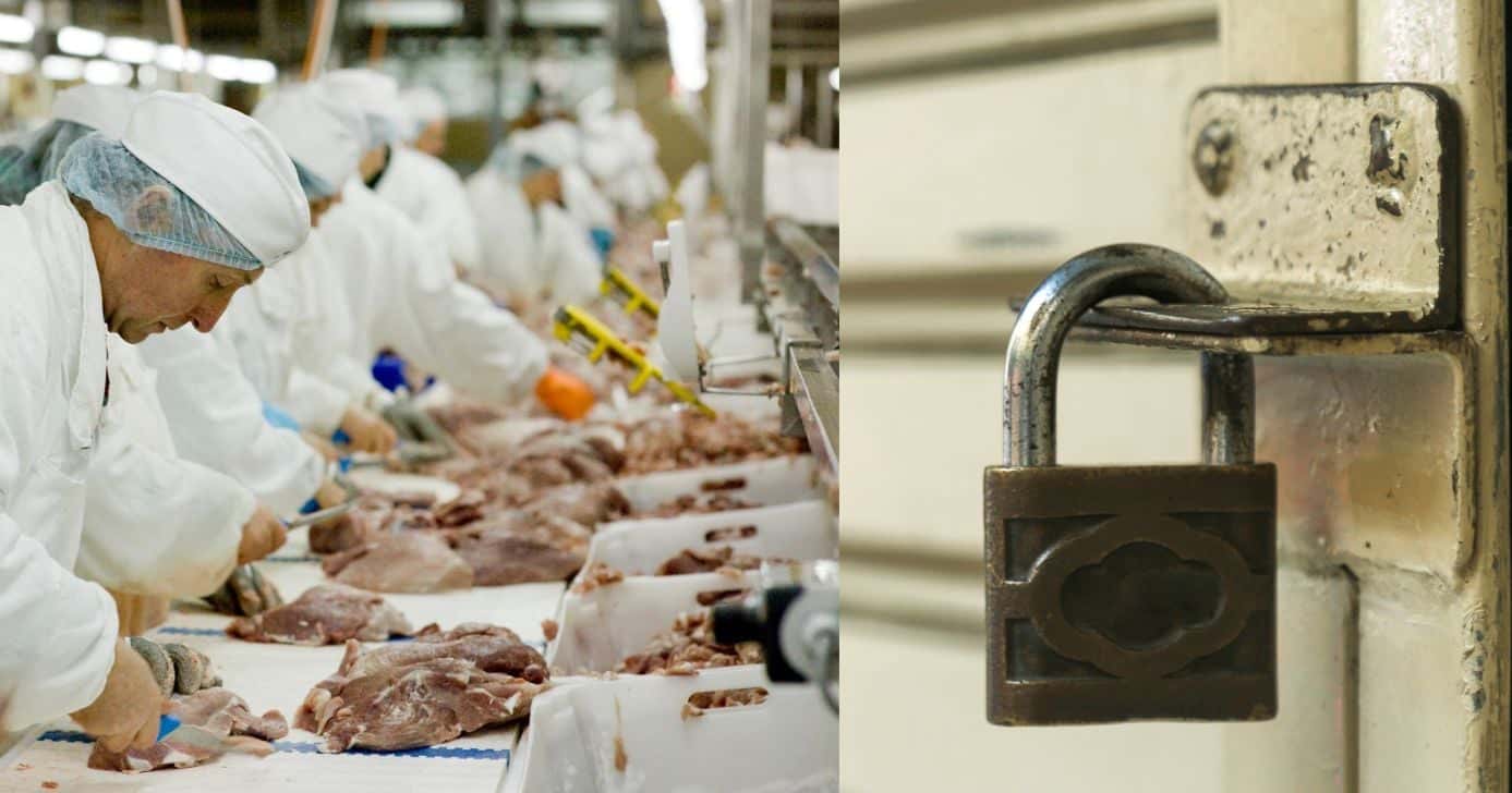 Falência e dívida de R$1B: O fim de gigante alimentícia com 4700 funcionários na rua no Brasil (Foto Reprodução/Montagem/TV Foco/Canva/Paola)