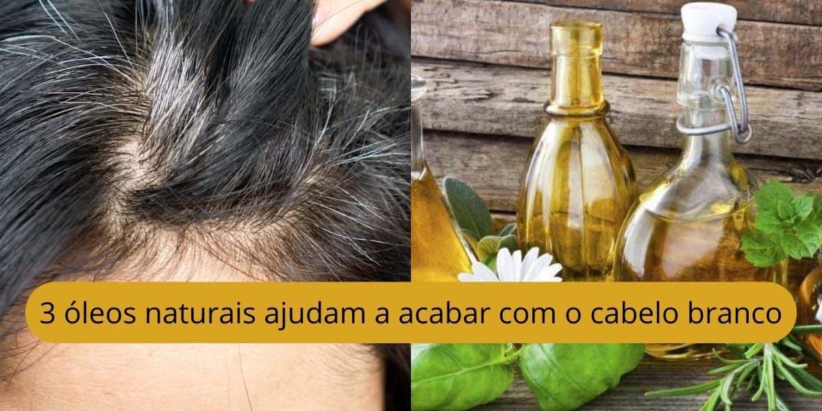 3 óleos naturais para acabar com o cabelo branco (Reprodução: Montagem TV Foco)