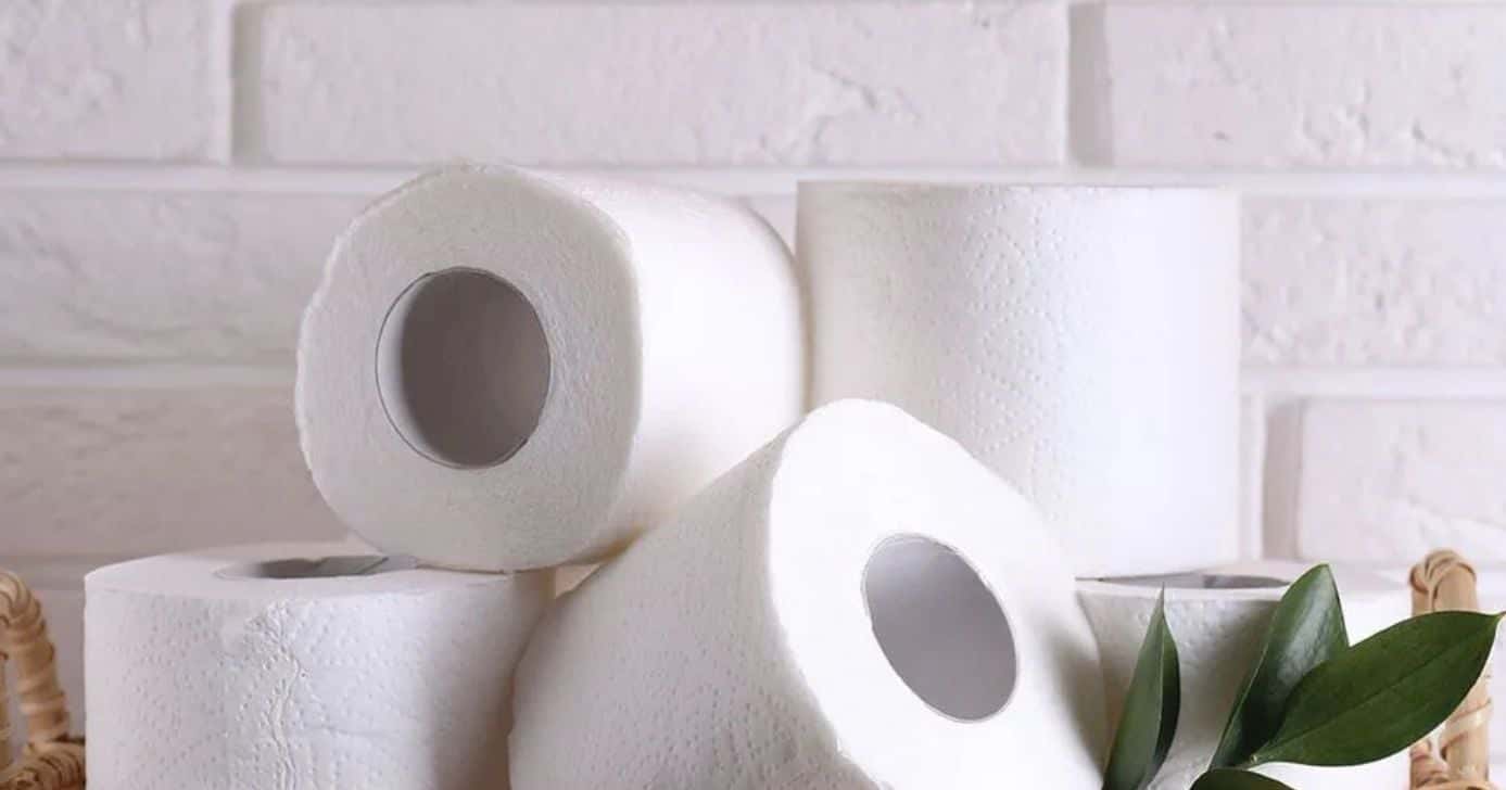 Papel Higiênico passa a ser substituído por novas opções - Foto: Internet