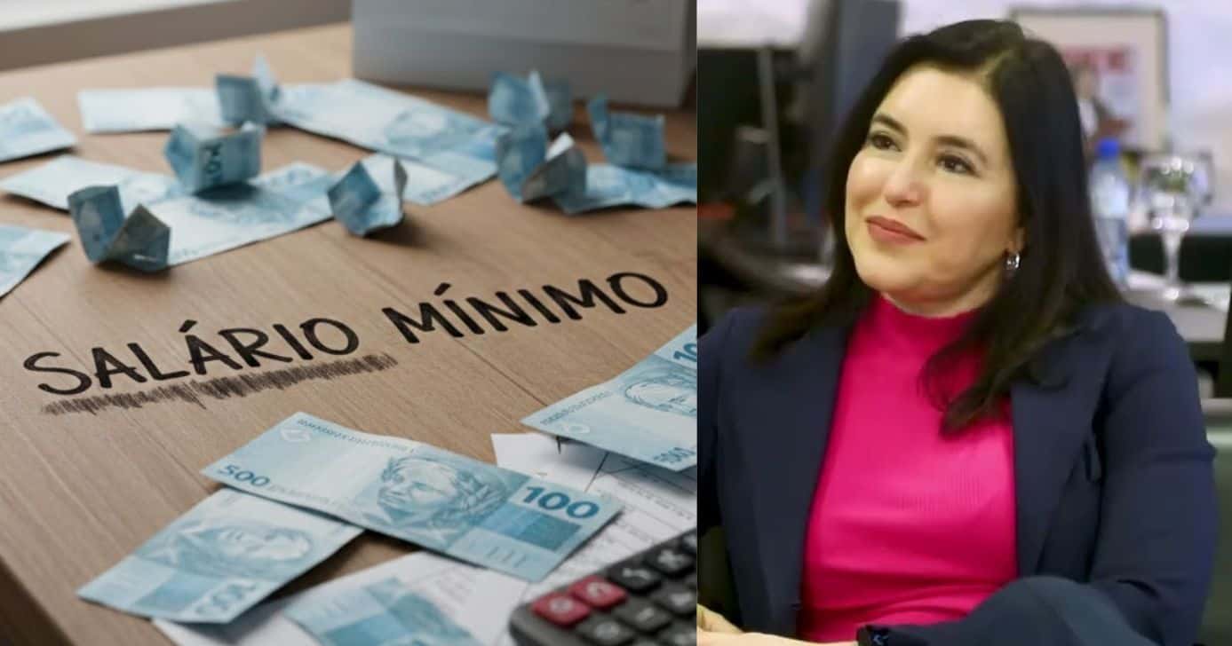 Ilustração salário mínimo e Simone Tebet (Fotos: Montagem TV Foco / GMN / Globo)