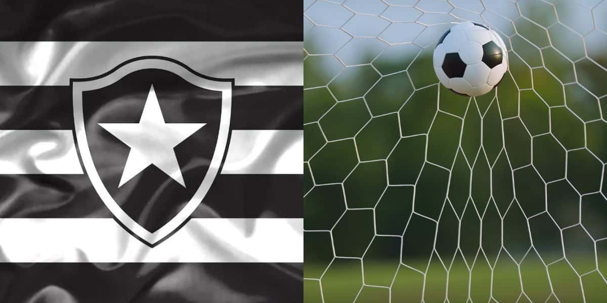 Botafogo (Reprodução: Montagem TV Foco)