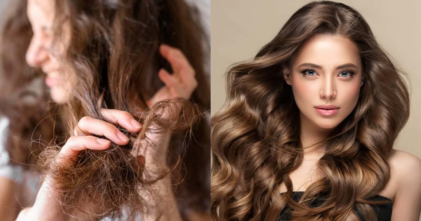 Conheça quais são os hábitos do dia a dia que estão acabando com os fios do seu cabelo (Foto: Divulgação)