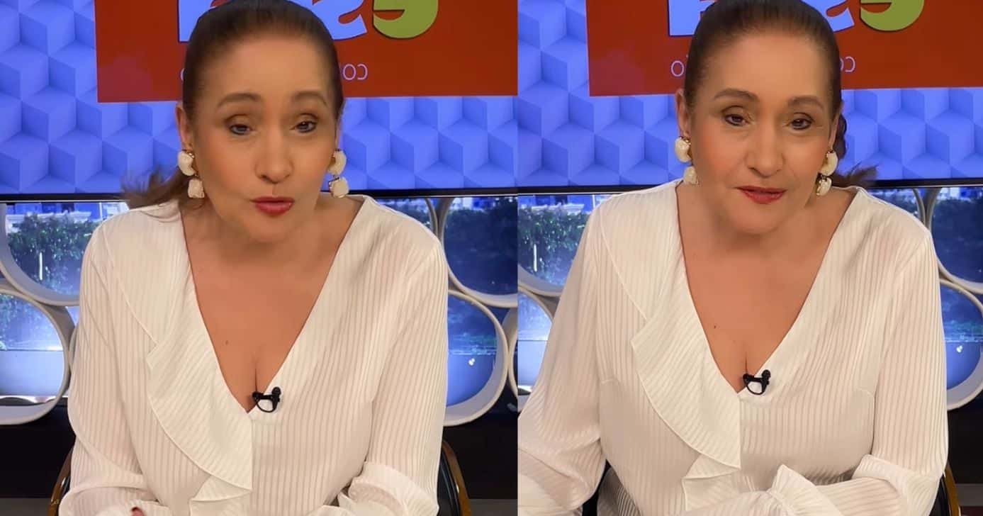 Sonia Abrão (Foto: Reprodução / RedeTV!)