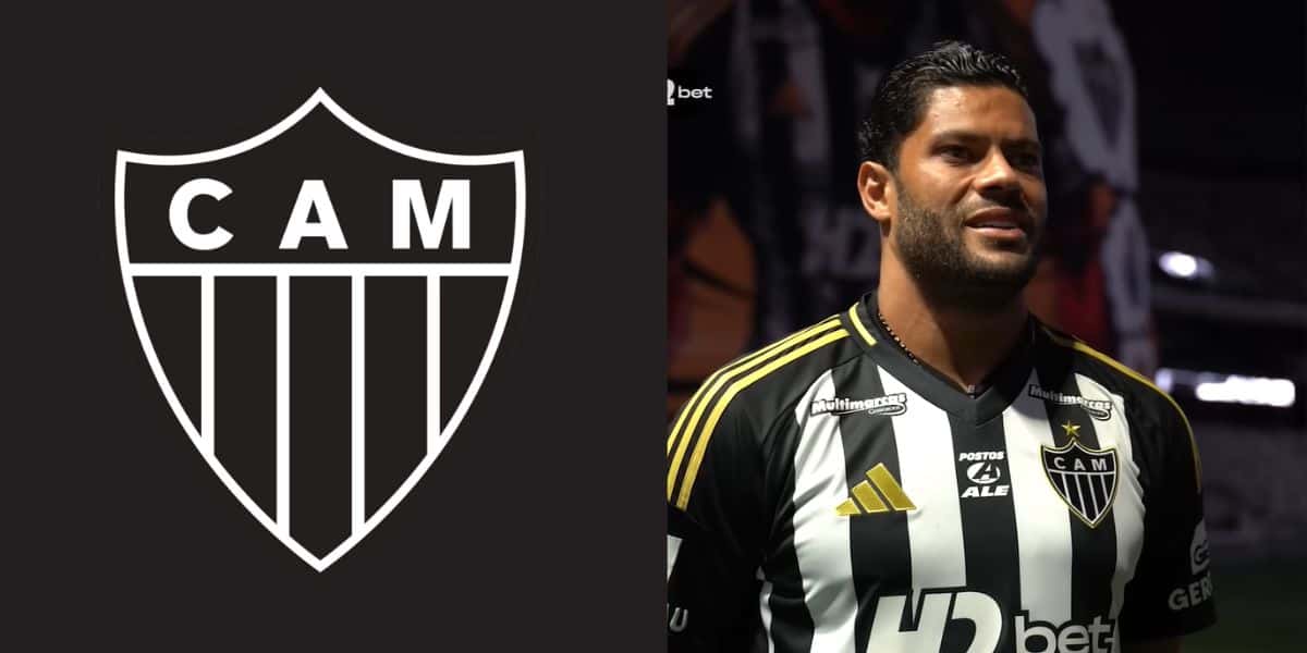 Foto - Montagem TV Foco/ Reprodução Youtube - Galo TV