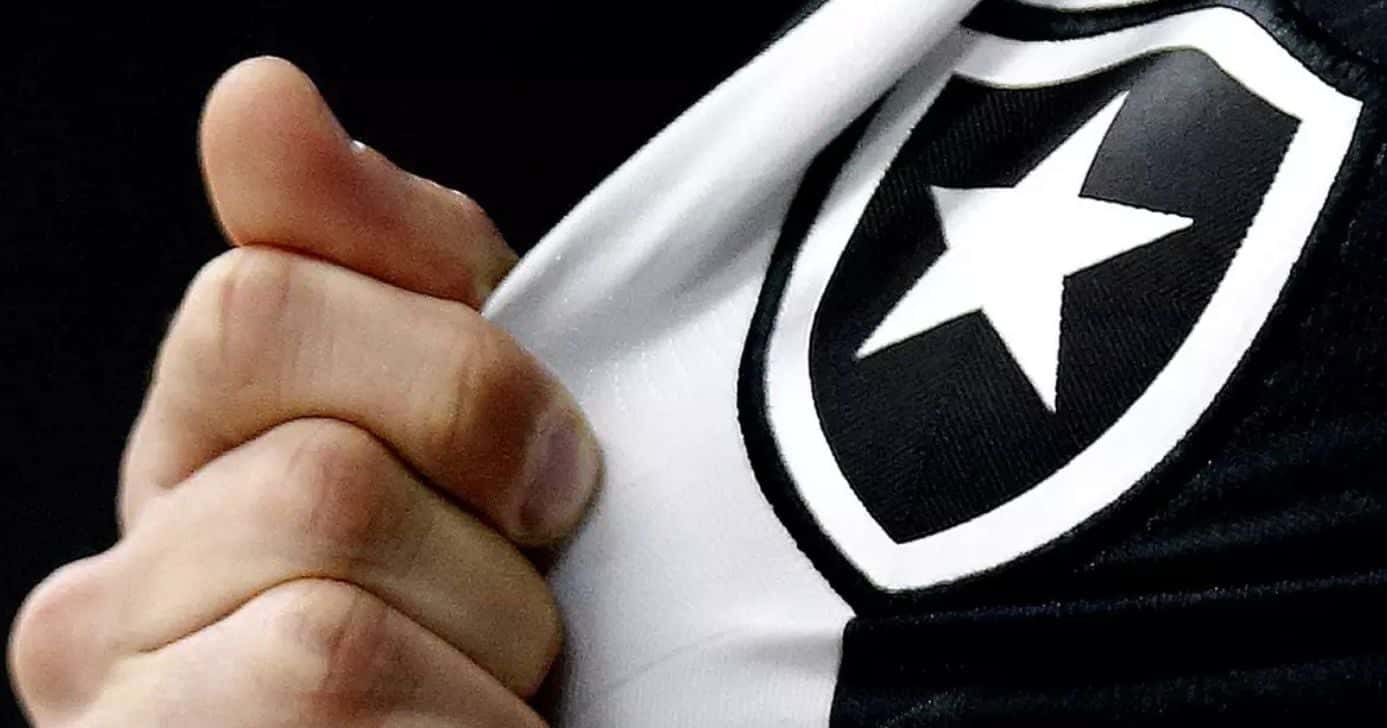 Botafogo perdeu dois jogadores para o Palmeiras Foto: Internet