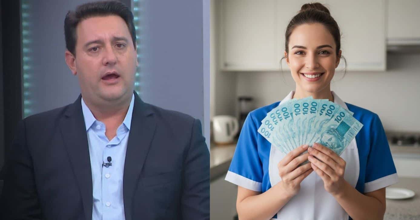 Ratinho Júnior e ilustração doméstica (Foto: Montagem TV Foco / GMN / CNN)