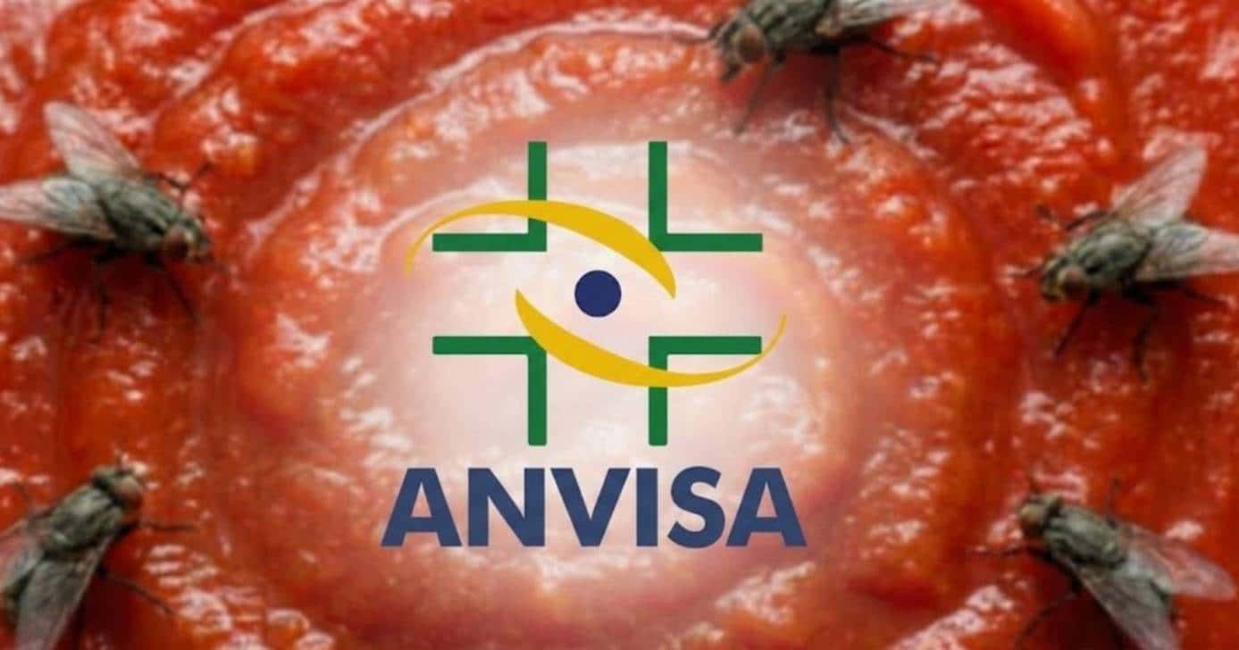 Anvisa informa 3 produtos populares que podem conter baratas, moscas e + (Foto: Montagem/TV Foco)