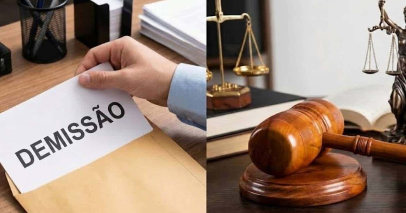 Lei confirma demissão para CLTs (Foto: Montagem/TV Foco)