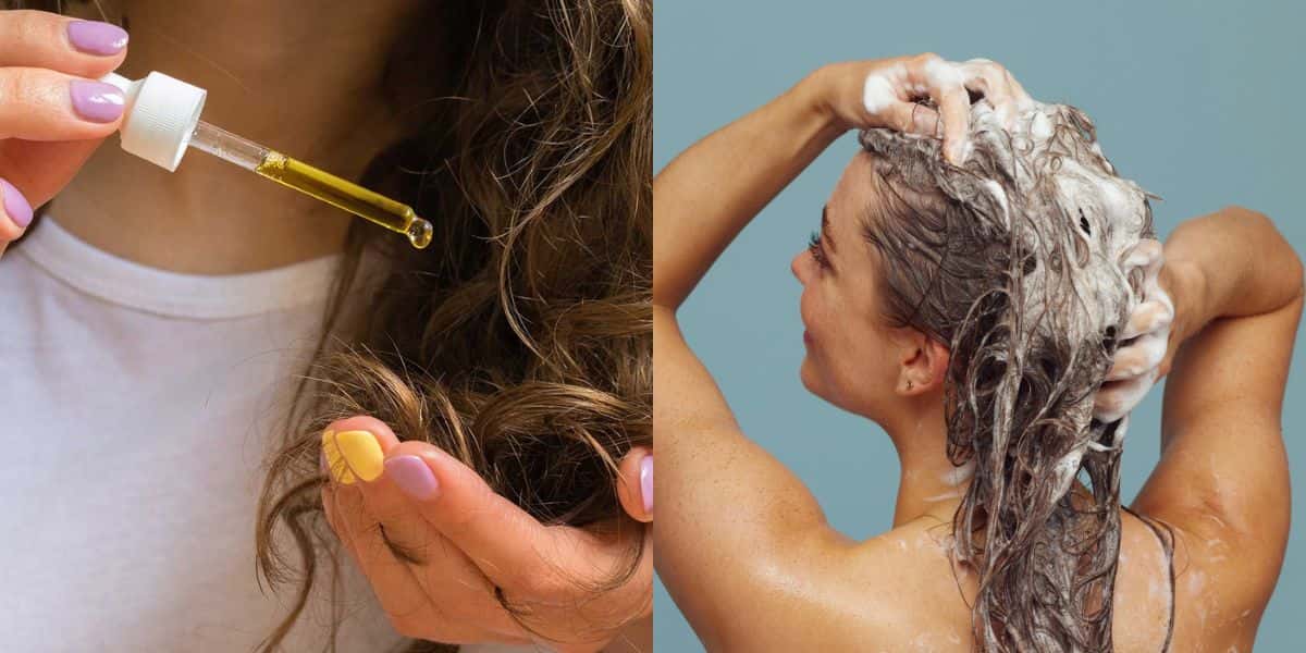 Óleo natural para fortalecer o shampoo (Reprodução: Montagem TV Foco)