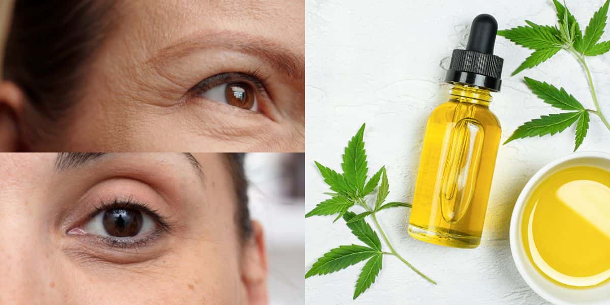 Óleo natural para acabar com as rugas e olheiras (Reprodução: Montagem TV Foco)