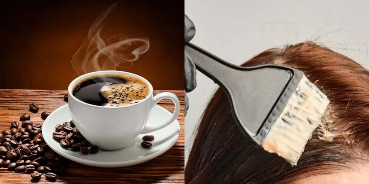 Tinta com café para cobrir o cabelo branco (Reprodução: Montagem TV Foco)