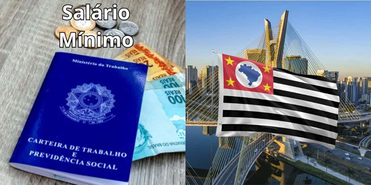 Guia para possível aumento do salário mínimo em SP (Reprodução: Montagem TV Foco)