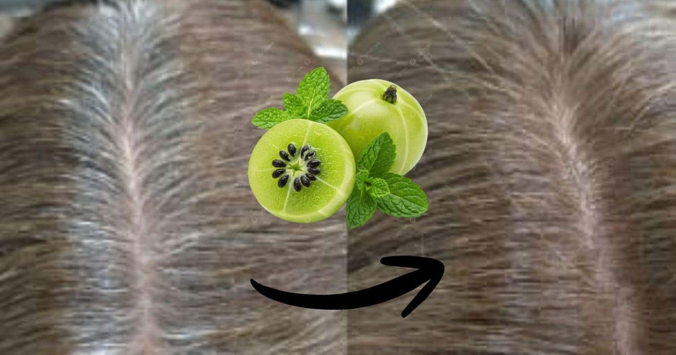 Produto natural elimina o grisalho sem precisar de tinta ou danificar fios (Foto Reprodução/Montagem/TV Foco/Canva/Paola)