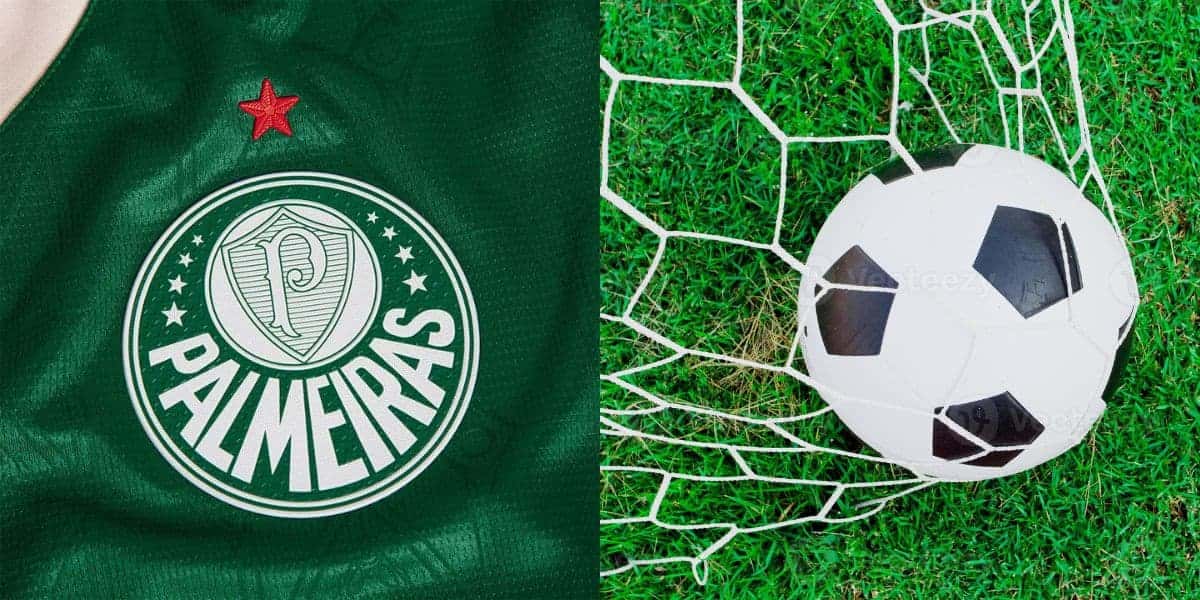 Palmeiras contratando novo reforço (Reprodução: Montagem TV Foco)