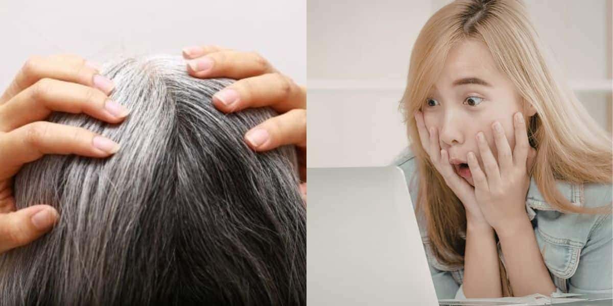 Hábitos que aceleram o cabelo branco (Reprodução: Montagem TV Foco)