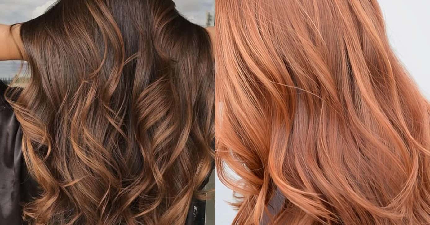 As cores de cabelo que serãso tendências para 2026 (Foto: Divulgação)