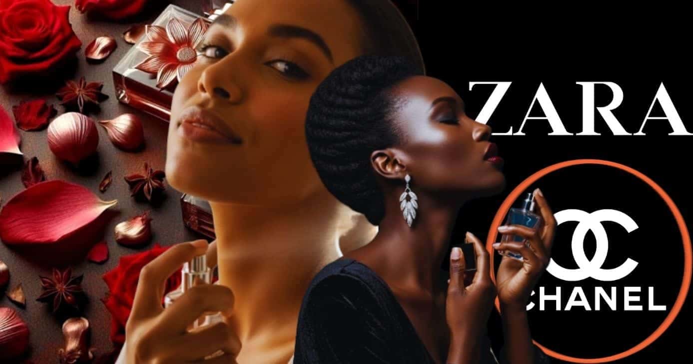 Perfume da Zara não perde em nada para os importados da Chanel (Foto Reprodução/Montagem/Lennita/TV Foco/Canva/GMN/Logo)
