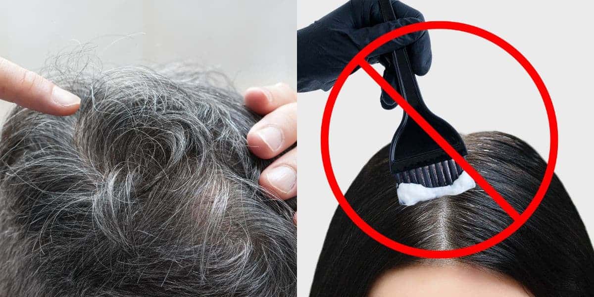 Cubra o cabelo branco sem usar tinta (Reprodução: Montagem TV Foco)