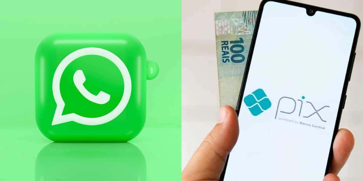 WhatsApp libera benefício para quem pagar o app (Reprodução: Montagem TV Foco)