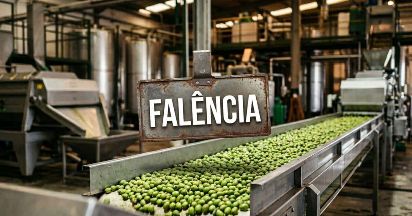 Ilustração falência de fábrica de azeitonas (Foto: Montagem TV Foco / GMN)