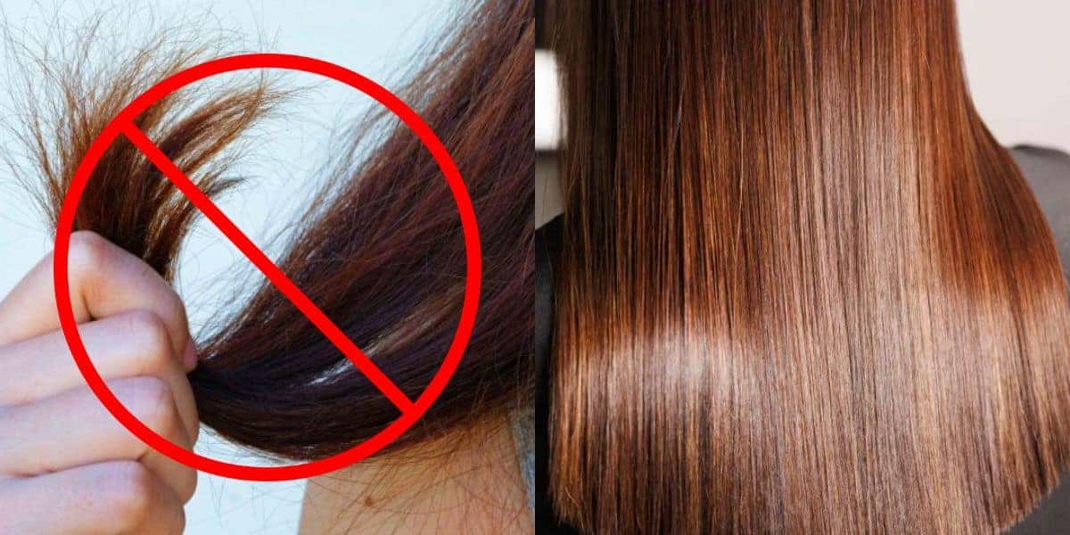 5 dicas para acabar com o cabelo ressecado e fino (Reprodução: Montagem TV Foco)