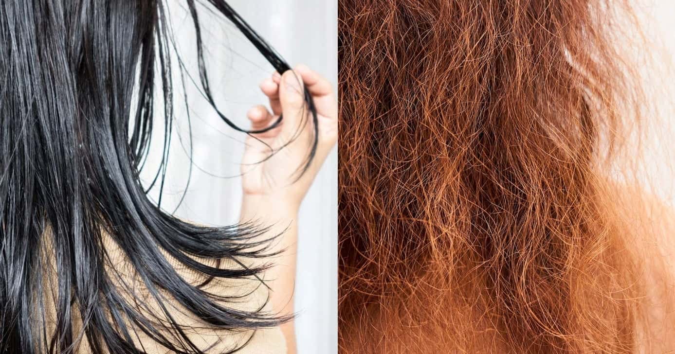 Cabelo ressecado é o terror das mulheres (Foto: Divulgação)