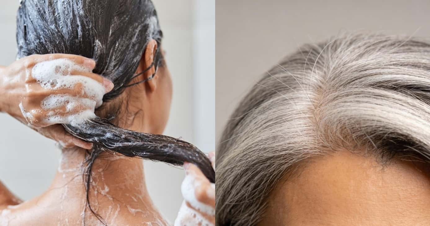 Shampoo para reverter cabelo grisalho (Foto: Divulgação)
