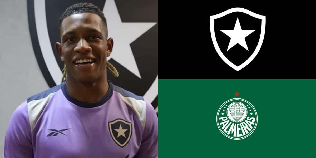 Danilo ao lado do escudo do Botafogo e do Palmeiras (Reprodução: Youtube)
