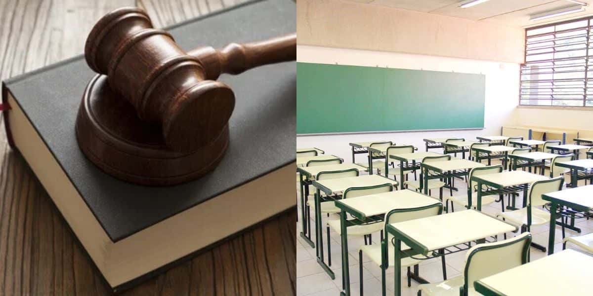 Projeto de lei prepara nova obrigação nas escolas de São Paulo (Reprodução: Montagem TV Foco)