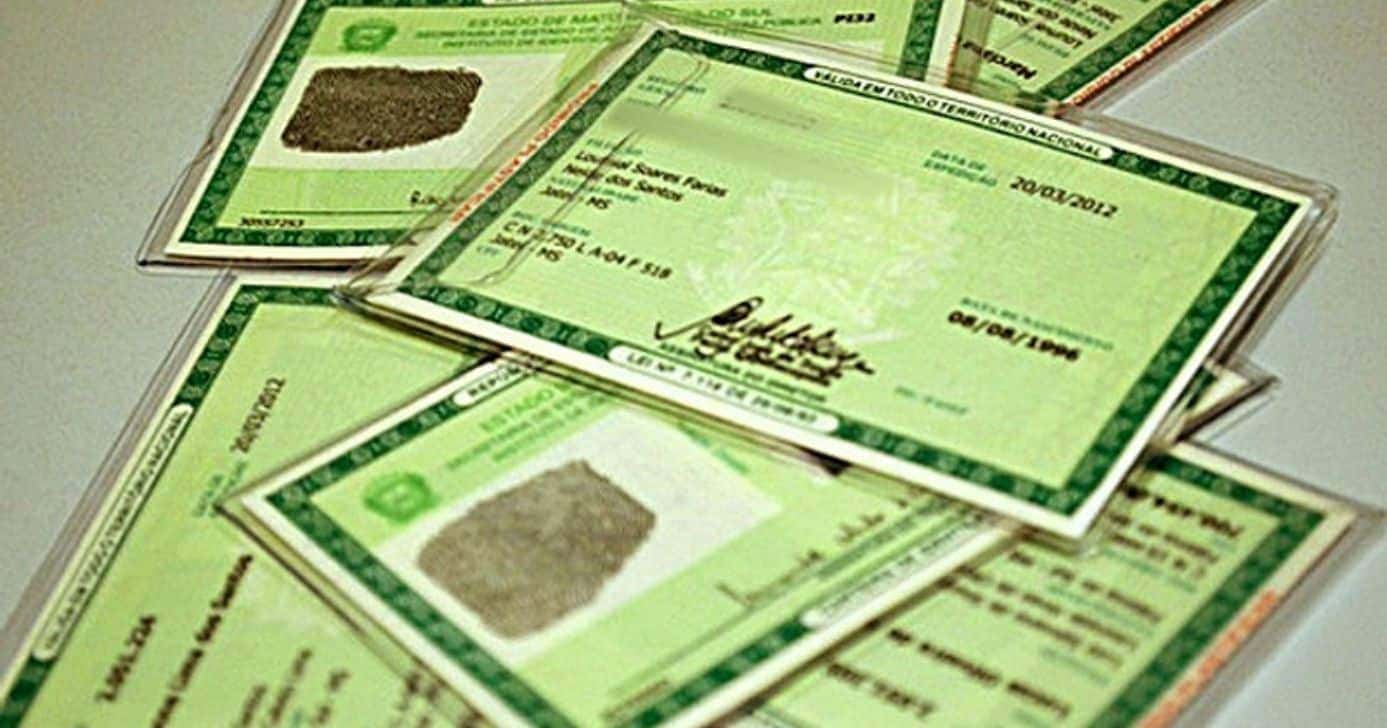 Informações sobre o novo RG (Foto: Reprodução/ Internet)