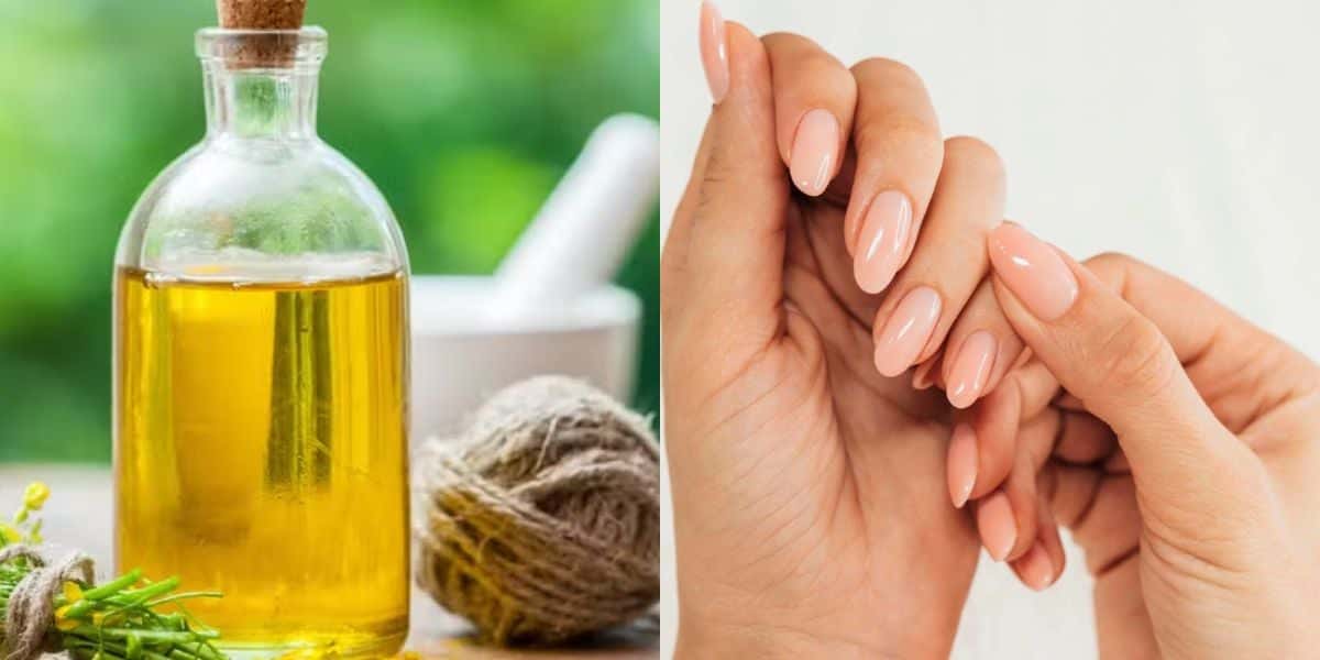 Óleo natural para tornar as unhas inquebráveis (Reprodução: Montagem TV Foco)