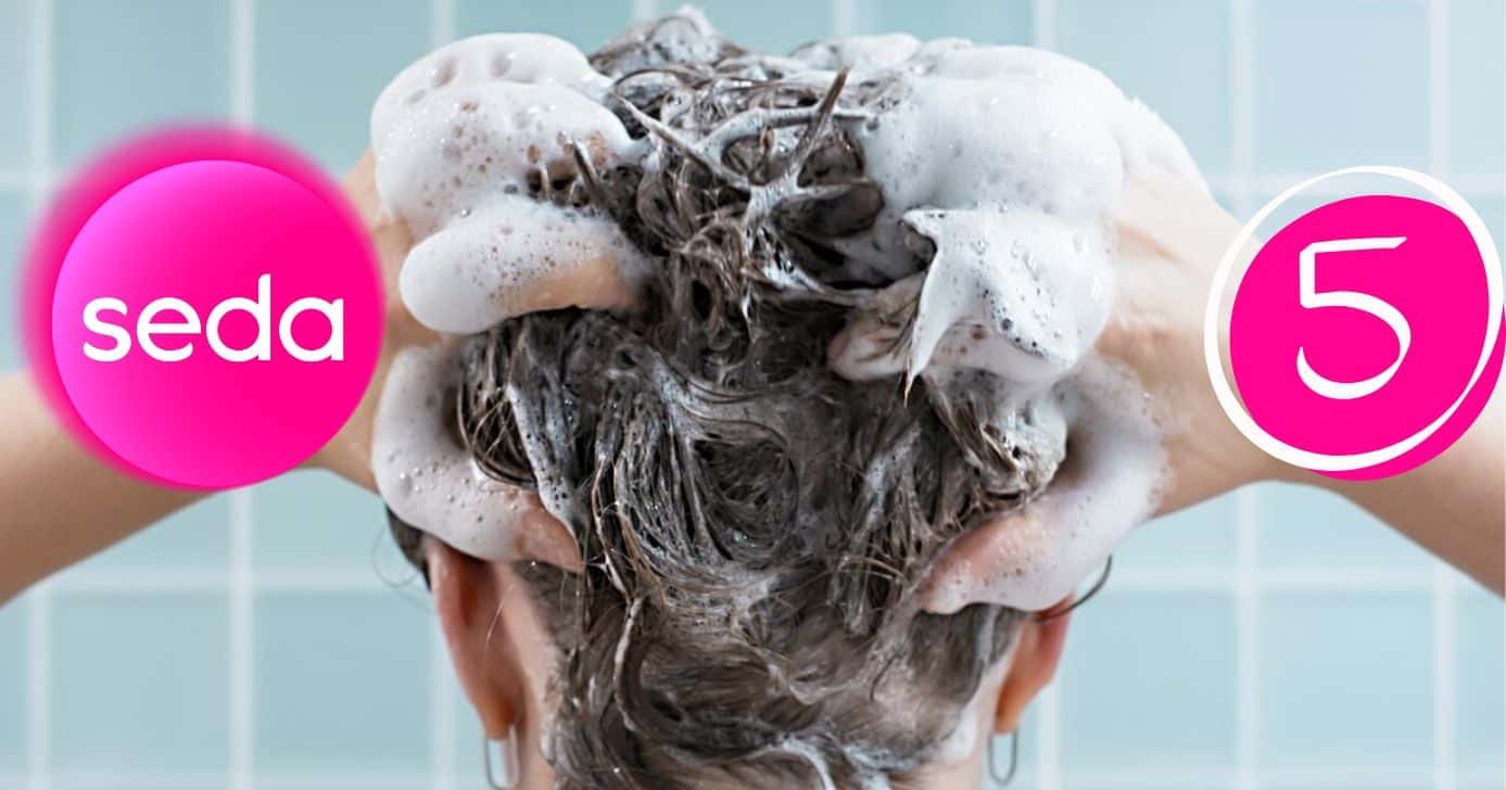Nem hidratação de salão faz: 5 produtos da Seda para blindar o cabelo do ressecamento e frizz (Foto Reprodução/Montagem/TV Foco/Canva/Paola)