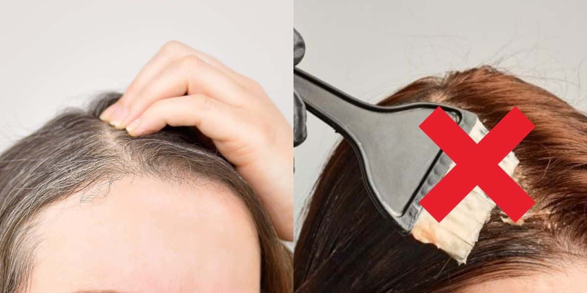 Adeus ao cabelo grisalho e sem tintura (Reprodução: Montagem TV Foco)