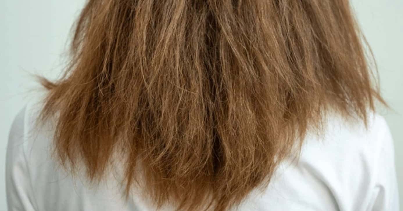 Cabelos desidratados e secos (Foto: Divulgação)
