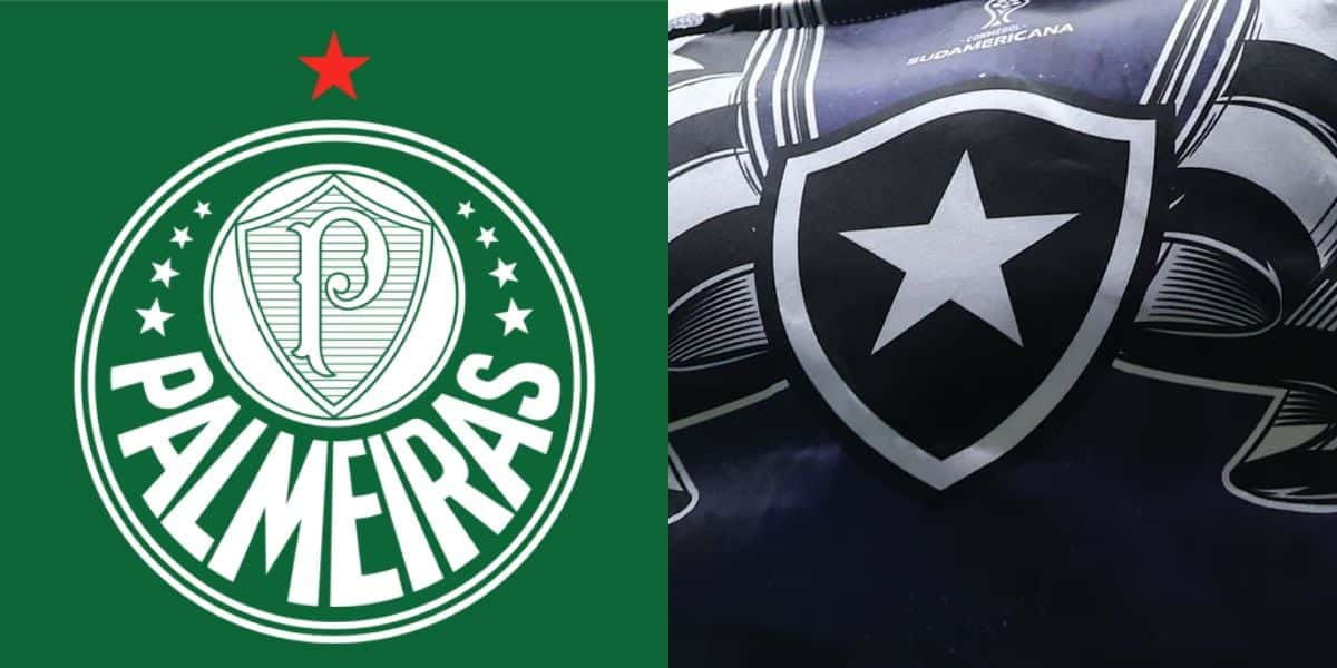 Palmeiras / Botafogo - Fotos: Internet
