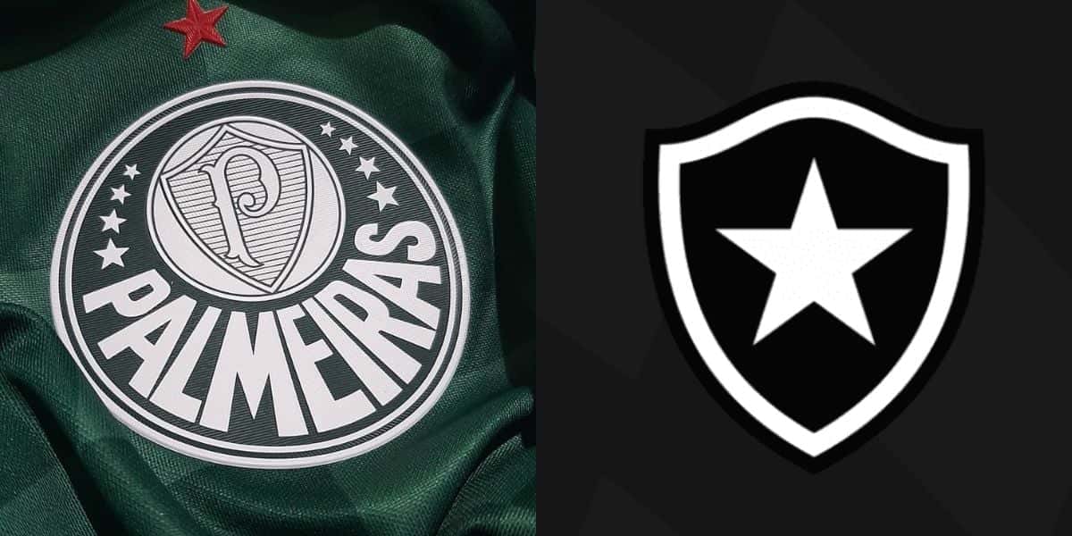 Palmeiras e Botafogo (Reprodução: Montagem TV Foco)