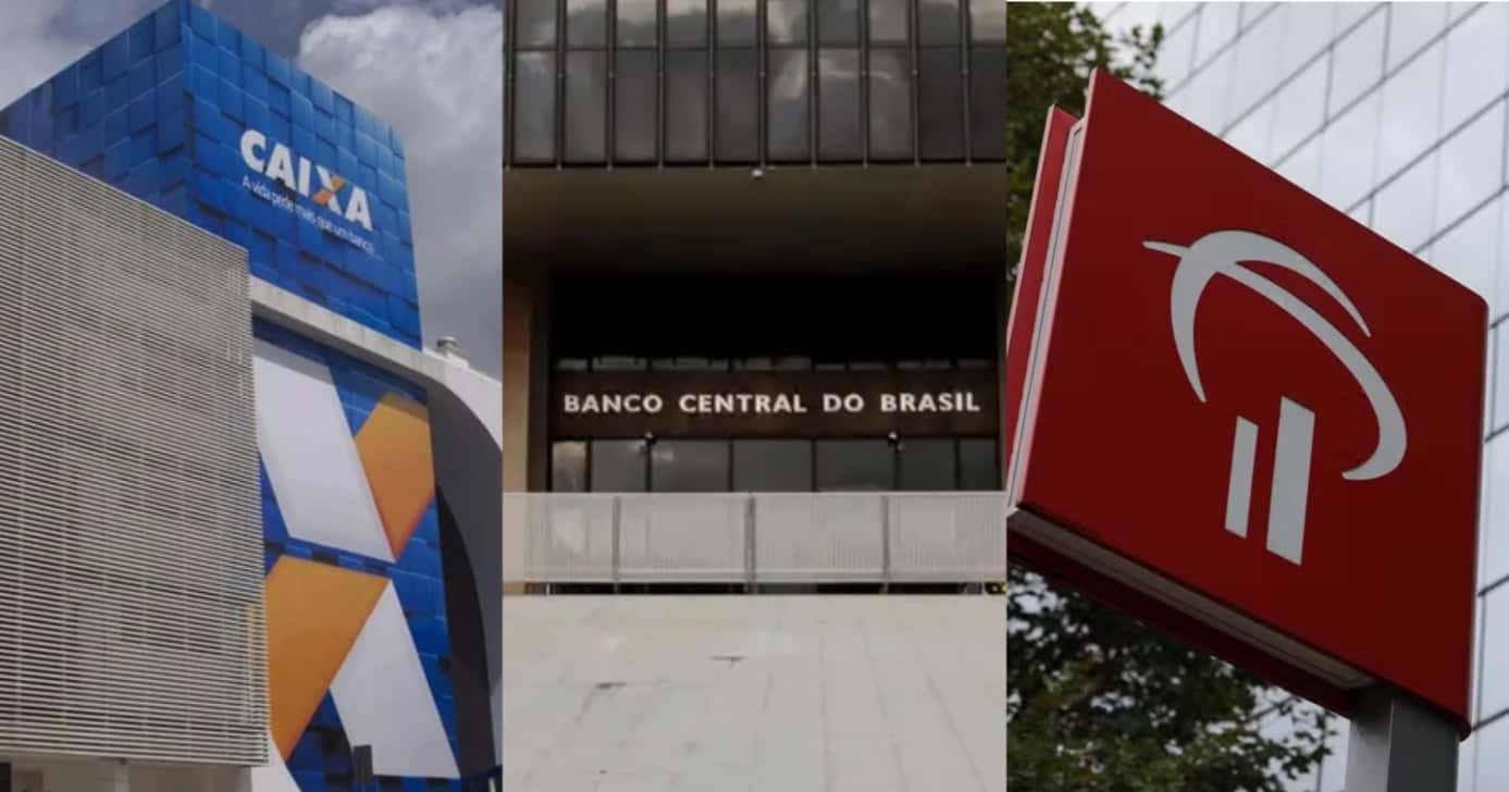 Caixa, Banco Central e Bradesco (Foto: Divulgação)
