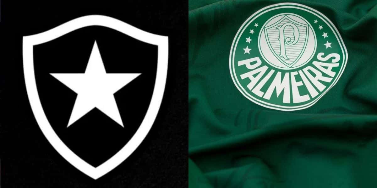 Craque do Botafogo revela sobre 2 saídas ao Palmeiras (Reprodução: Montagem TV Foco)