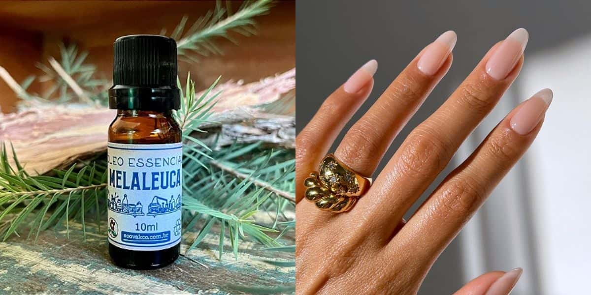 Óleo de melaleuca ajuda as unhas a crescerem (Reprodução: Montagem TV Foco)