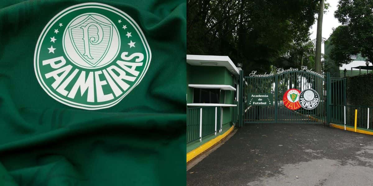 5 jogadores voltam de empréstimo ao Palmeiras (Reprodução: Montagem TV Foco)