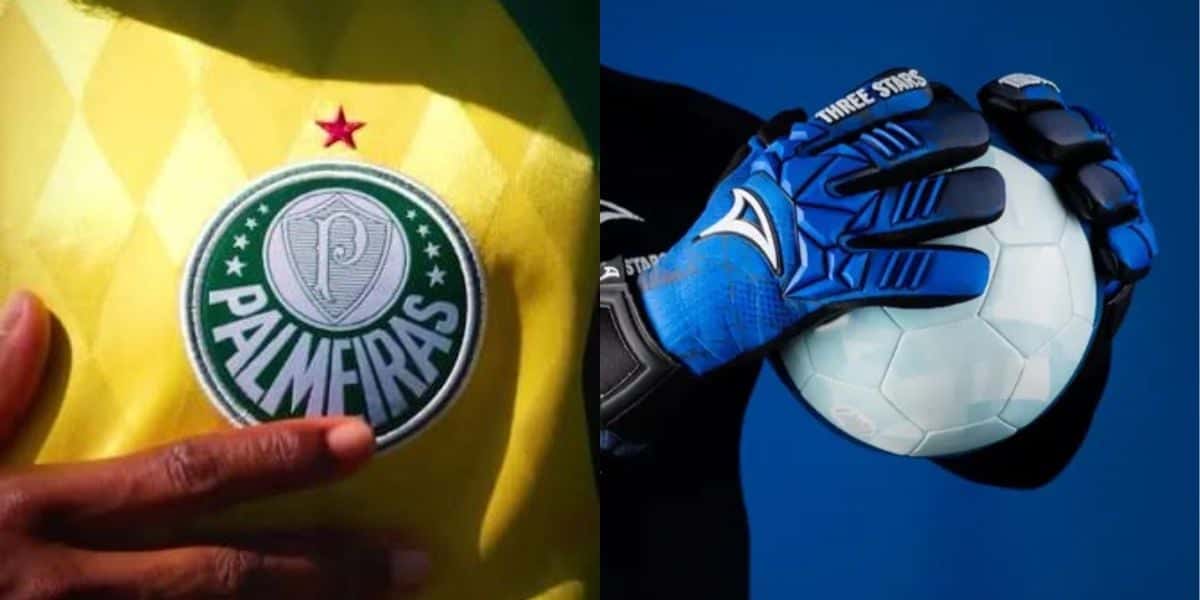 Goleiro do Palmeiras deve ser negociado (Reprodução: Montagem TV Foco)