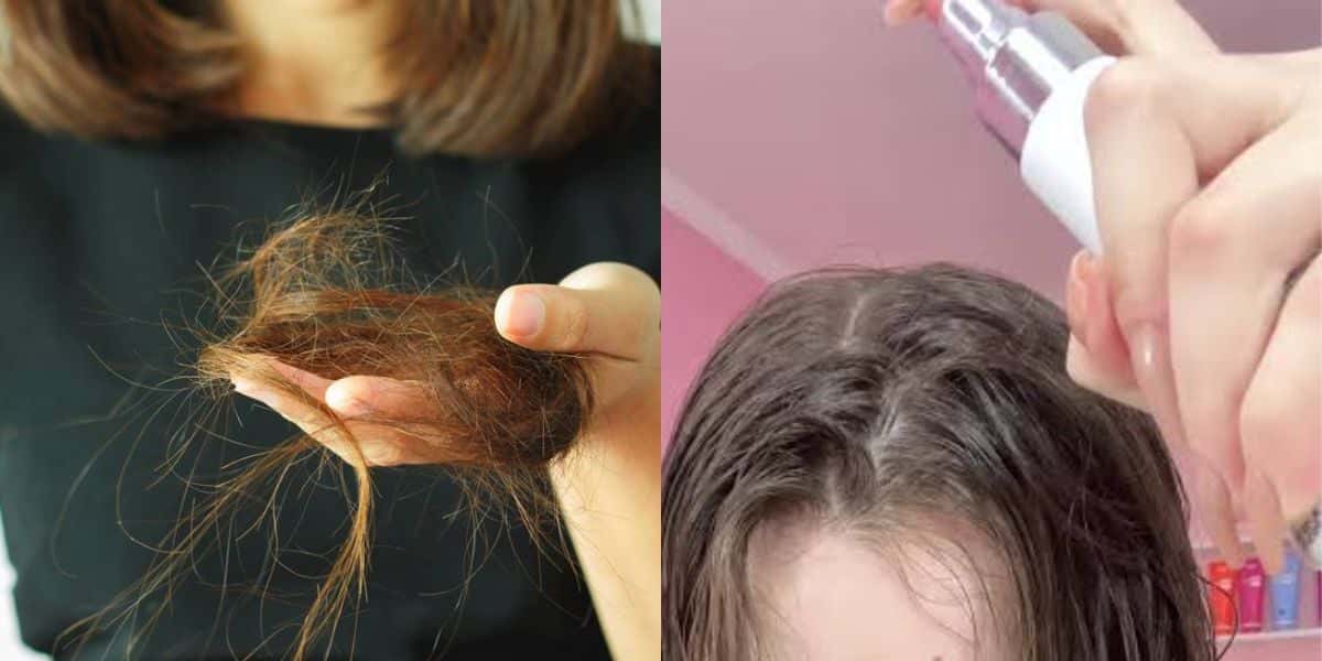 Tônicos para evitar a queda do cabelo e fortalecer os fios (Reprodução: Montagem TV Foco)